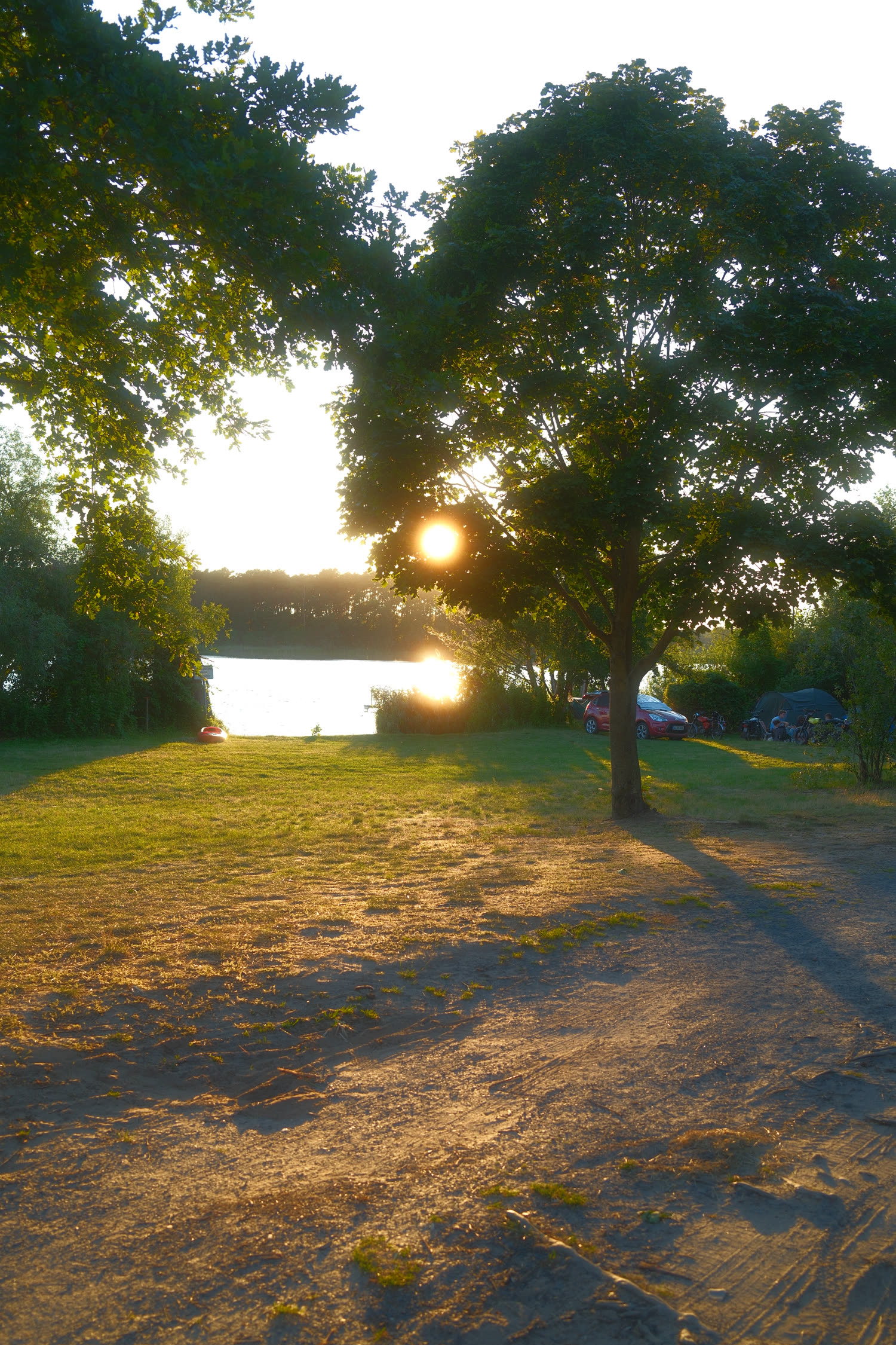 Abendsonne über einem See zwischen Bäumen