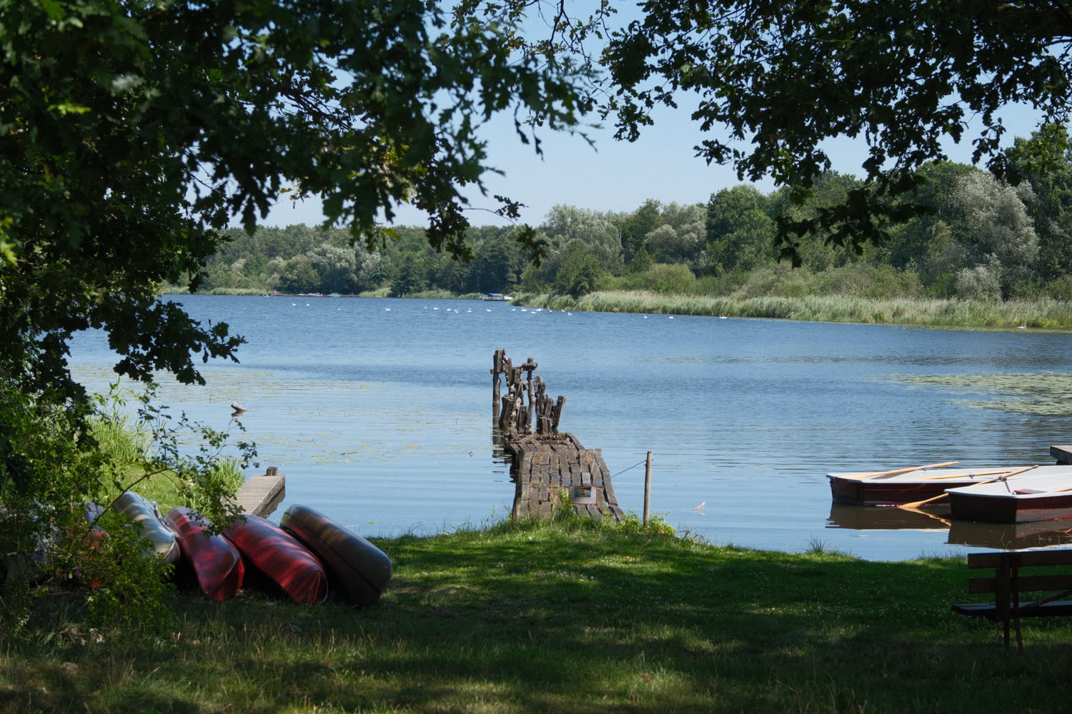 Blick über einen See mit Kanus am Ufer